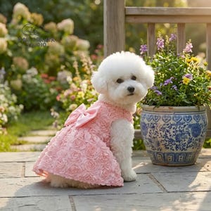 Robe rose brodée pour chien | Tenue de soirée en satin avec nœud papillon pour chiot (XS-XL) image 6