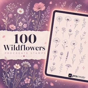 Pode incluir: Um tablet digital exibindo uma coleção de carimbos de flores silvestres em linhas pretas sobre um fundo claro. O gráfico roxo ao redor apresenta o texto 100 Wildflowers PROCREATE STAMPS com várias ilustrações florais e pequenas estrelas.
