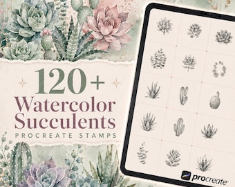 Más de 120 pinceles de sellos de suculentas en acuarela para Procreate | Paquete de sellos | Conjunto de pinceles para Procreate | Kit de herramientas personalizadas para Procreate | Descarga instantánea