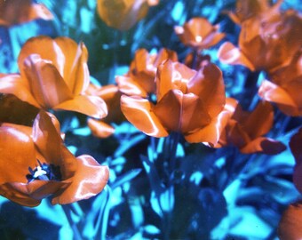 grief in the form of a ball in your chest slowly giving way to new perspective