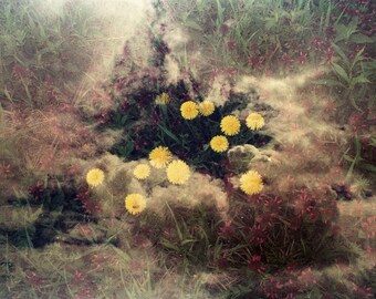 this is how I imagine the first hug might feel like