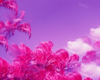 this is not about love