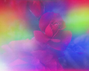 one june's saga (evermore)