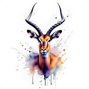 May include: A watercolour illustration of an impala head featuring long, spiralled dark horns, large ears, and a tan coat with white markings. The artwork is accented by vibrant paint splatters in shades of blue, purple, orange, and red.