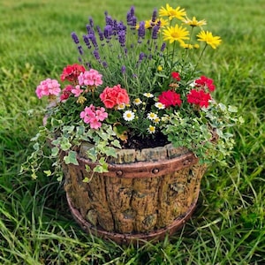 Può includere: Un'aiuola decorativa dall'aspetto invecchiato, piena di una varietà di fiori colorati. La composizione comprende fiori rossi, rosa, gialli e viola vibranti, con fogliame verde che trabocca dai lati. L'aiuola è posizionata su un letto di erba verde.