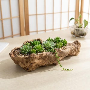 May include: A long, hollowed-out piece of natural driftwood serving as a planter, filled with small pebbles and a variety of green succulents, including a trailing string of pearls plant that hangs over the textured, brown wooden edge.