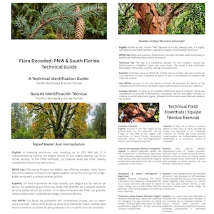 Flora Dekodiert: 22-seitiges zweisprachiges botanisches Feldführer | PNW & South Florida Technischer Standard