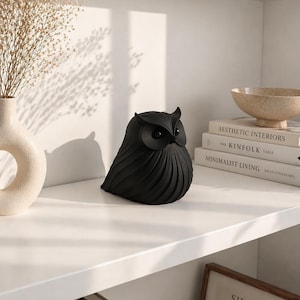 May include: A black owl figurine with detailed feather-like textures sits on a white shelf. The owl has large, round eyes and a slightly curved beak. The shelf also holds books, a vase with dried flowers, and a decorative bowl.