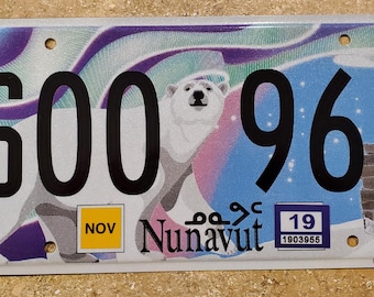 Matrícula de autobús escolar con la imagen de un oso polar de Aurora, Nunavut (modelo poco común)
