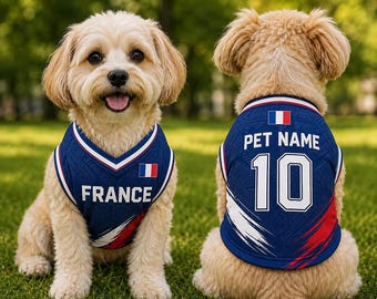 Könnte beinhalten: Ein blaues Trikot für Haustiere mit dem Wort FRANCE und der französischen Flagge auf der Vorderseite sowie dem Text PET NAME mit der Nummer 10 und der französischen Flagge auf der Rückseite. Das Trikot hat weiße und rote Akzente und ein Muster.
