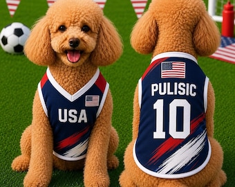 Könnte beinhalten: Zwei hellbraune Hunde mit lockigem Fell tragen passende Sporttrikots in Marineblau, Weiß und Rot. Das vordere Trikot zeigt 'USA' und eine kleine amerikanische Flagge. Das hintere Trikot zeigt 'PULISIC' über der Nummer '10' und eine Flagge.