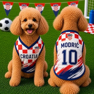May include: A tan poodle wearing a sleeveless jersey featuring the Croatian red and white checkered pattern. The front displays the text CROATIA, while the back shows the name MODRIĆ and the number 10 in blue, with a blue trim around the edges.