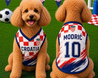 Könnte beinhalten: Ein beigefarbener Pudel trägt ein ärmelloses Trikot mit dem kroatischen rot-weißen Karomuster. Auf der Vorderseite steht der Text CROATIA, während auf der Rückseite der Name MODRIĆ und die Nummer 10 in Blau mit blauem Rand zu sehen sind.