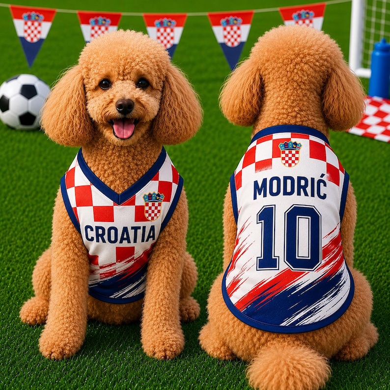 May include: A tan poodle wearing a sleeveless jersey featuring the Croatian red and white checkered pattern. The front displays the text CROATIA, while the back shows the name MODRIĆ and the number 10 in blue, with a blue trim around the edges.