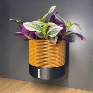 Könnte beinhalten: Eine Tradescantia-Pflanze mit lila, grünen und weißen Blättern in einem orangefarbenen und schwarzen zylindrischen Pflanzgefäß. Der Pflanztopf hat ein strukturiertes Zickzackmuster auf dem orangefarbenen Teil und einen glatten schwarzen Sockel. Der Pflanztopf ist an einer dunkelgrauen Wand befestigt.