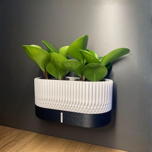 Könnte beinhalten: Ein weiß-schwarzer Wandtopf mit geometrischem Design, der eine grüne Pflanze mit breiten Blättern enthält. Der Topf hat ein strukturiertes Muster und einen schwarzen Sockel. Das Wort "WINDBAR" ist auf dem schwarzen Sockel aufgedruckt.