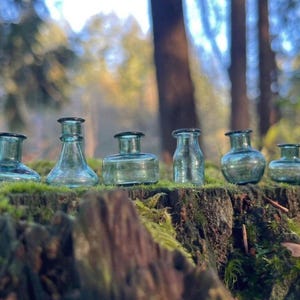 Könnte beinhalten: Sechs kleine, klare Glasflaschen mit dunklen Rändern stehen auf einer moosbewachsenen Oberfläche. Die Flaschen haben unterschiedliche Formen, darunter runde und zylindrische Designs. Der Hintergrund zeigt eine verschwommene Waldszene mit Sonnenlicht.