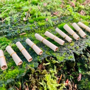 May include: Several small, rolled paper scrolls, each fastened with a gold-coloured ring, are displayed on a mossy surface. The scrolls are a light beige colour, and the rings appear to be metallic. The background is a vibrant green, creating a natural aesthetic.