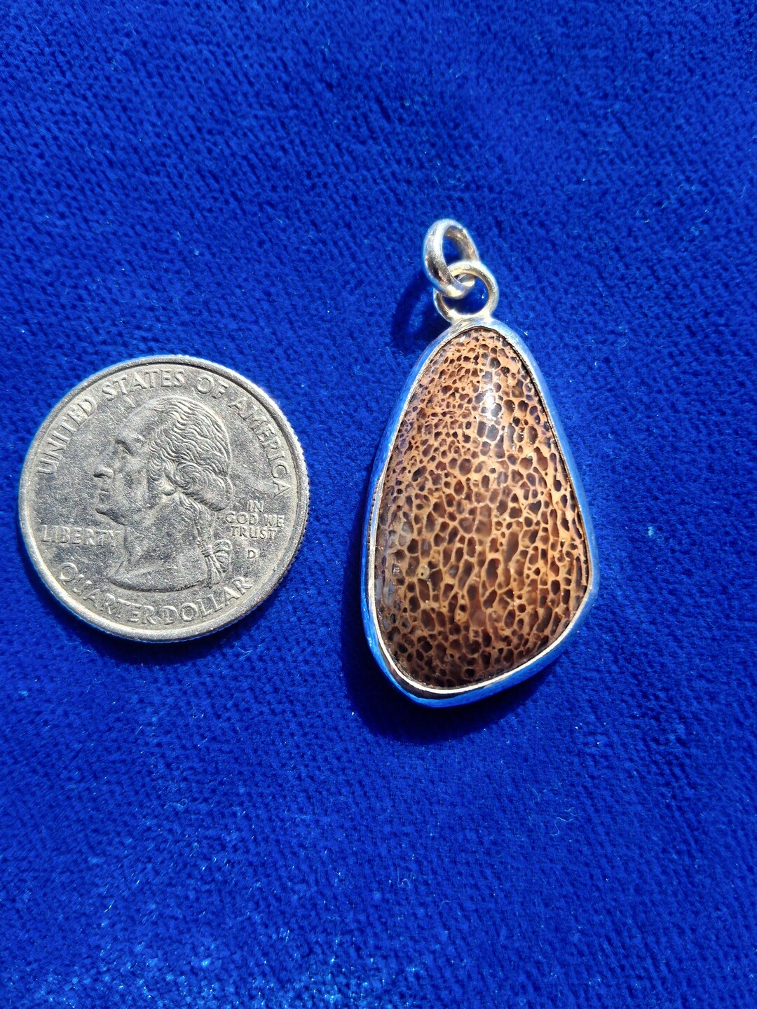 Dinosaur Gembone Pendant - Etsy