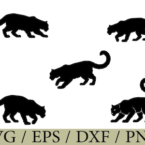 May include: Five black silhouettes of a panther in various prowling and walking poses. The digital graphic design features sharp outlines of the large cat with long tails curled upward. The text SVG / EPS / DXF / PNG is displayed at the bottom.