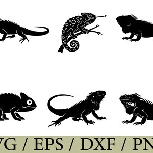 Puede incluir: Una colección de seis ilustraciones en silueta negra de varios lagartos y camaleones en diferentes posturas, incluyendo algunos posados en ramas y otros con colas enroscadas. El texto SVG / EPS / DXF / PNG se muestra en la parte inferior.