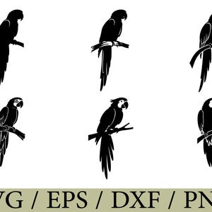 May include: Black silhouette illustrations of parrots perched on branches. The image features six different parrot designs, each in a side profile, with detailed feather and beak outlines. The text "SVG / EPS / DXF / PNG" is at the bottom.