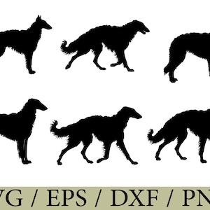 May include: Black silhouette images of Borzoi dogs in various poses. The dogs are shown walking and standing, with detailed outlines of their long, slender bodies and flowing fur. The bottom of the image includes the text "SVG / EPS / DXF / PNG".