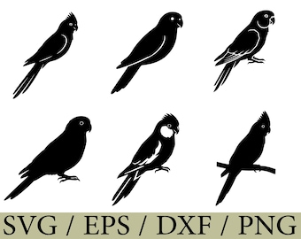 Rosella parrot silhouette design.