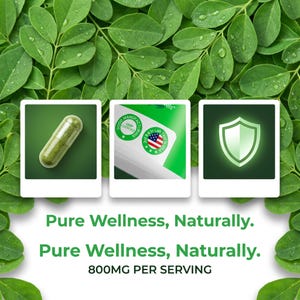 May include: An image featuring a green capsule, a GMP-certified label with a US flag, and a shield icon. The text reads "Pure Wellness, Naturally" and "800MG PER SERVING". The background is a lush arrangement of green leaves.