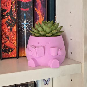 May include: A light pink, rounded planter shaped like a small character holding a book and a mug. The planter features a smooth, matte finish and contains a green succulent plant with thick, pointed leaves arranged in a tight, circular rosette pattern.
