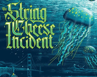 The String Cheese Incident - The Fillmore, San Francisco, Conscious Alliance AP