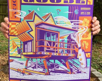 Goose St. Augustine 2024 - Conscious Alliance Artist Prints