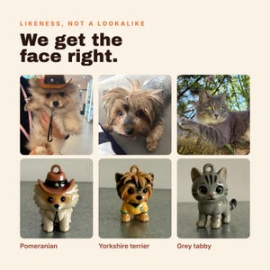 Puede incluir: Un collage con tres fotograf&iacute;as de animales junto a tres figuras de cer&aacute;mica correspondientes. El texto dice: LIKENESS, NOT A LOOKALIKE. We get the face right. Las figuras representan a un pomerania, un yorkshire terrier y un gato atigrado gris.