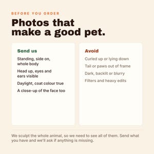Puede incluir: Un gr&aacute;fico informativo con fondo crema y texto marr&oacute;n oscuro titulado Before You Order Photos that make a good pet. Enumera instrucciones para enviar fotos, incluyendo vistas de cuerpo entero de perfil y primeros planos, evitando im&aacute;genes borrosas u oscuras.
