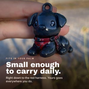 Puede incluir: Una peque&ntilde;a figura de perro negro brillante con un acabado liso, que presenta un arn&eacute;s rojo oscuro y un lazo circular en la parte superior para colgar. El texto en la imagen dice: FITS IN YOUR PALM Small enough to carry daily.
