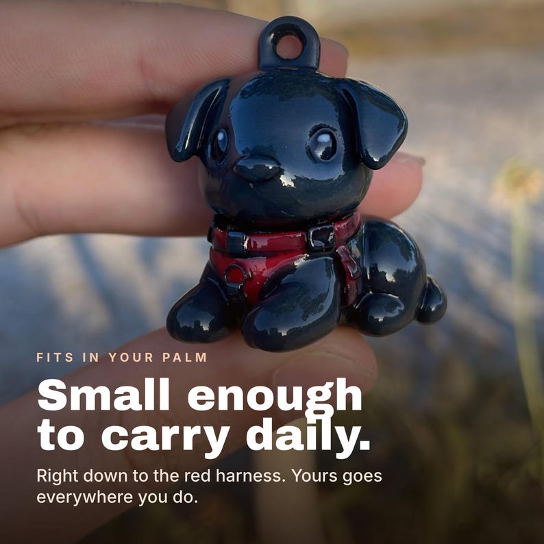 Puede incluir: Una peque&ntilde;a figura de perro negro brillante con un acabado liso, que presenta un arn&eacute;s rojo oscuro y un lazo circular en la parte superior para colgar. El texto en la imagen dice: FITS IN YOUR PALM Small enough to carry daily.