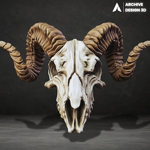 Puede incluir: Representación 3D detallada de un cráneo de carnero. El cráneo es blanquecino, con cuernos curvos y texturizados en tonos marrones. La imagen incluye el texto "ARCHIVE DESIGN 3D".