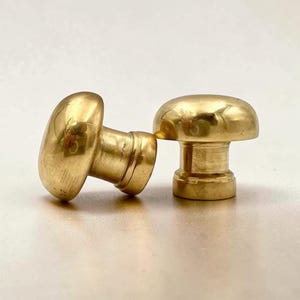 May include: Two polished brass cabinet knobs with a smooth, rounded mushroom-shaped head and a cylindrical base. The metal surface has a reflective, golden-yellow finish with subtle variations in tone, showing a classic hardware design.