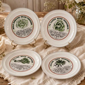 The Toscany Collection Japan - Etsy