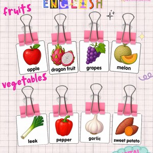 Könnte beinhalten: Lernkarten mit Abbildungen von Obst und Gemüse, darunter Apfel, Drachenfrucht, Trauben, Melone, Lauch, Paprika, Knoblauch und Süßkartoffel. Die Karten werden von rosa Büroklammern gehalten. Das Wort "ENGLISH" ist oben abgebildet.