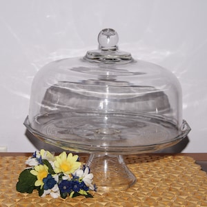 9 Inch Cake Dome Etsy