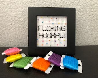 Fucking Hooray, Completed Framed Cross Stitch, My Favorite Murder, Murderino, Funny Gift Idea, Curse Word, Swearing, Modern Embroidery