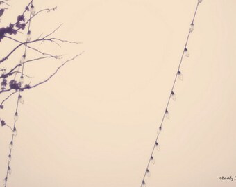 spring, lights, blossoms, dreamy, fine art photography