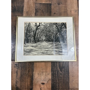 May include: Black and white framed print of a tree-lined path. The photograph features a pathway leading into the distance, framed by trees on either side. The frame is gold-coloured, and the print is set against a white mount.