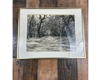 Roger Byrd, 1981, firmada, obra de arte enmarcada: paisaje de camino con roble blanco y negro, con un árbol en blanco y negro.