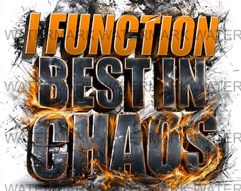 Set van 4 I Function In Chaos Meme, png | Brandtypografie (digitale download)