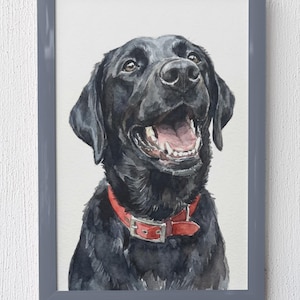 May include: Watercolor painting of a black Labrador Retriever with a red collar. The dog is smiling with its mouth open, showing its teeth and pink tongue. The artwork is framed in a gray rectangular frame.