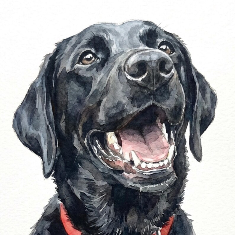 May include: Watercolor painting of a black Labrador Retriever with a red collar. The dog is looking up with an open mouth, showing its teeth and pink tongue. The artwork has a soft, painterly style with visible brushstrokes.