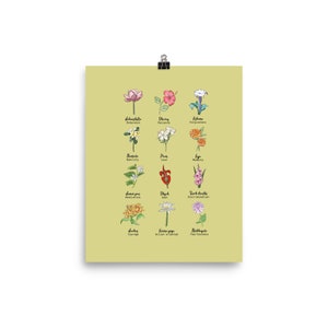 Garden of Life | 12 Qualities Bloom