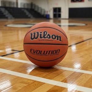 May include: A brown Wilson Evolution basketball with black lettering, resting on a wooden basketball court. The ball features the Wilson logo and the word "EVOLUTION". The court has white lines and is in a gymnasium.